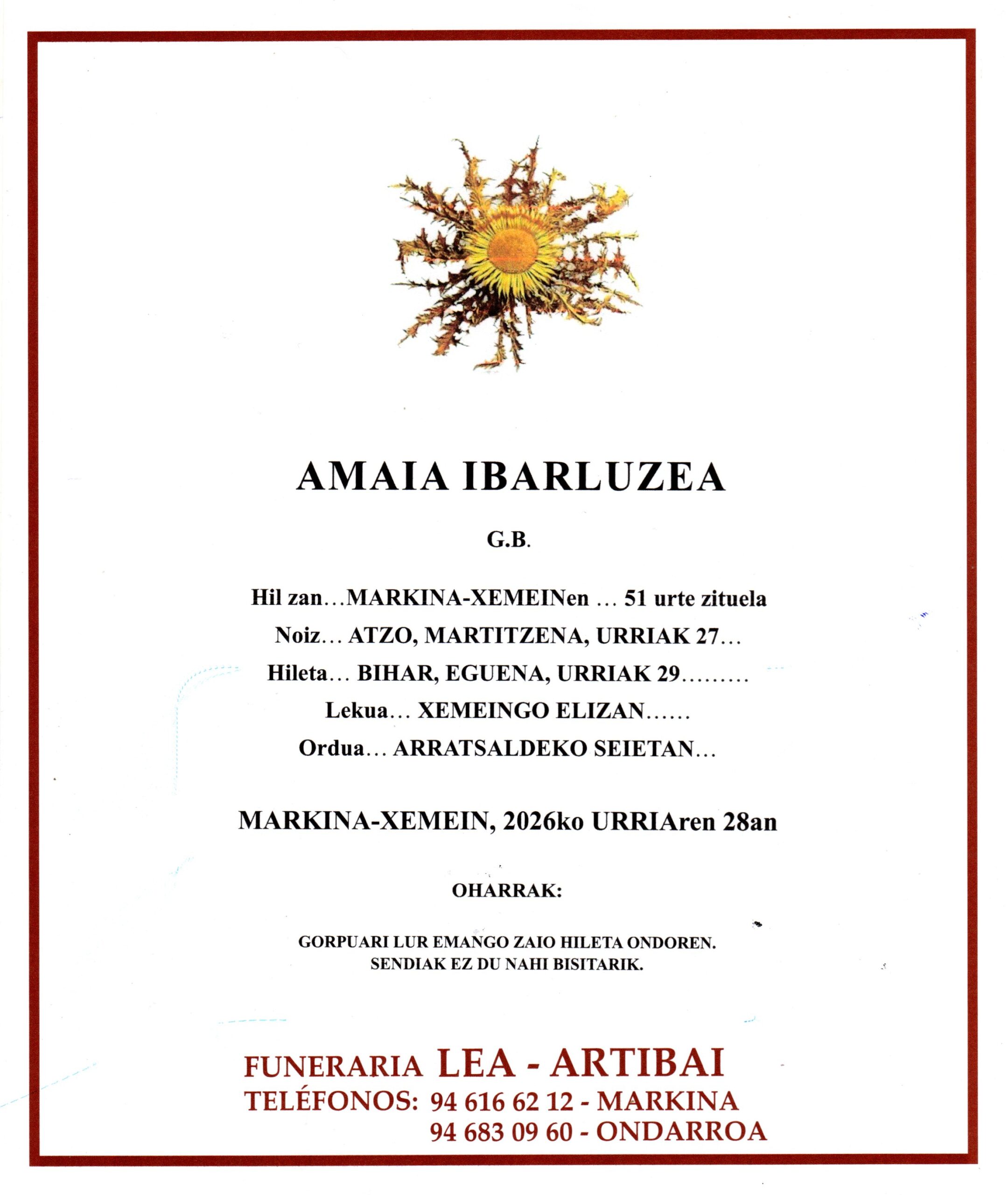 Lee más sobre el artículo Amaia Ibarluzea